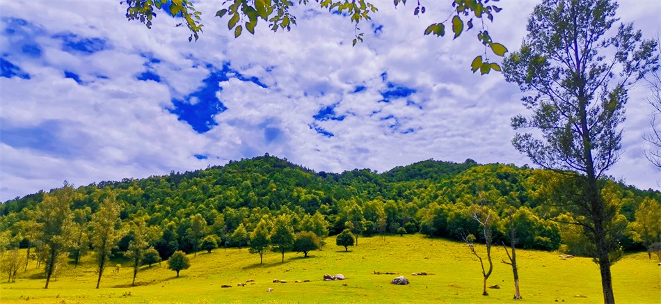 微信图片_20220803145628.jpg 微信图片_20220803145628.jpg