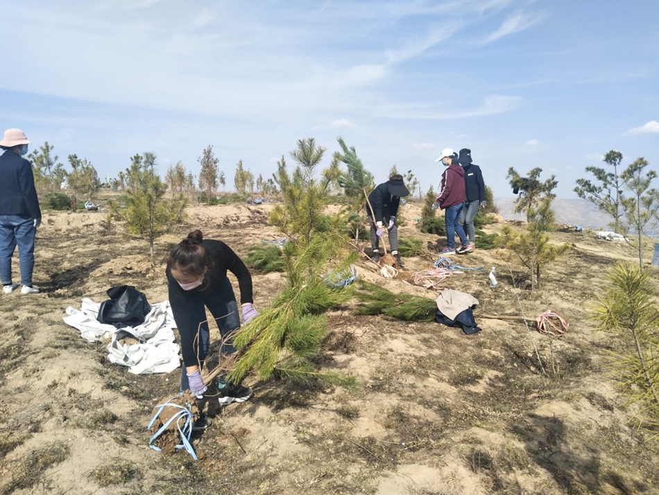 1583716681384144.jpg 4a1efb0d5765d472.jpg