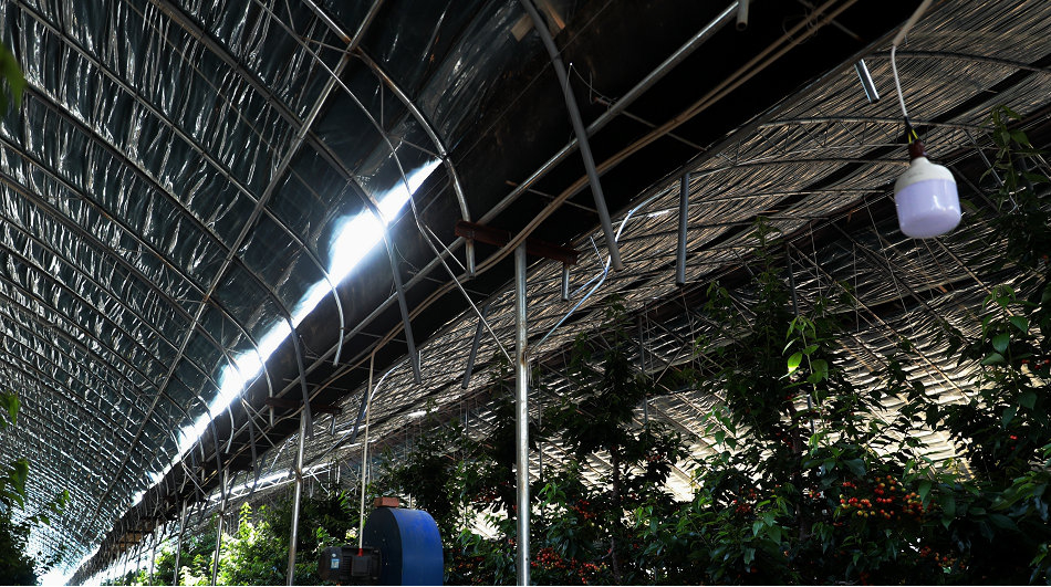 1588324406113870.png 图片3.png