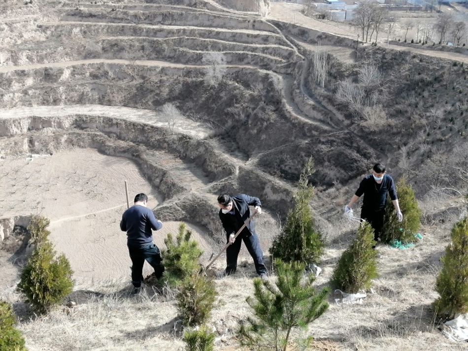 1583716729478943.jpg -462e64bd23e9063e.jpg