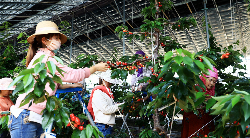 1588324391238955.png 图片1.png