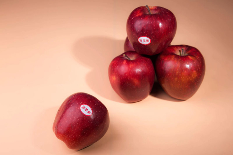 1501235959949539.jpg 64c0c7067a114334bb63234dfd2efe52.jpg