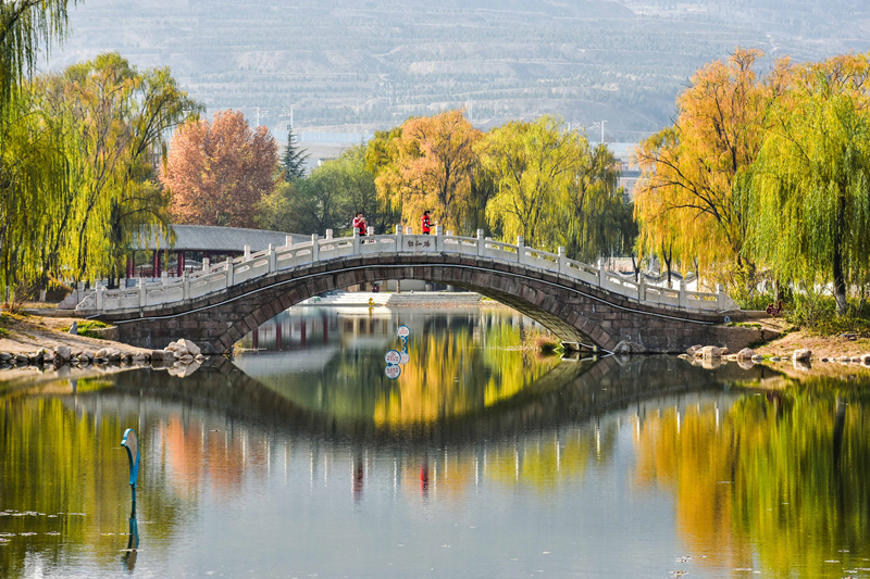 1499659981385435.jpg 作品名称:初冬的马跑泉公园,作者:陈治平小.jpg