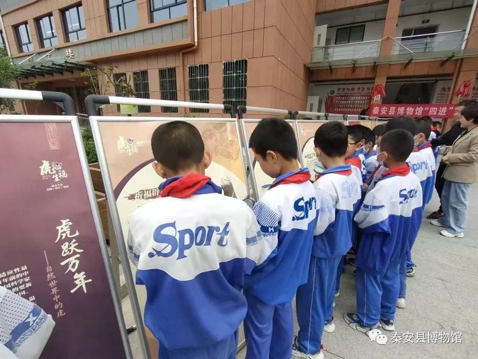 5月13日,秦安县博物馆馆藏精品文物图片展走进秦安县邢泉小学,开展流动博物馆进校园活动.jpg