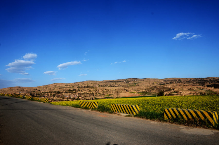 1501235126126857.jpg 1501235126126857.jpg