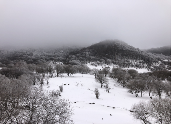 雪落秦家塬529.png 雪落秦家塬529.png