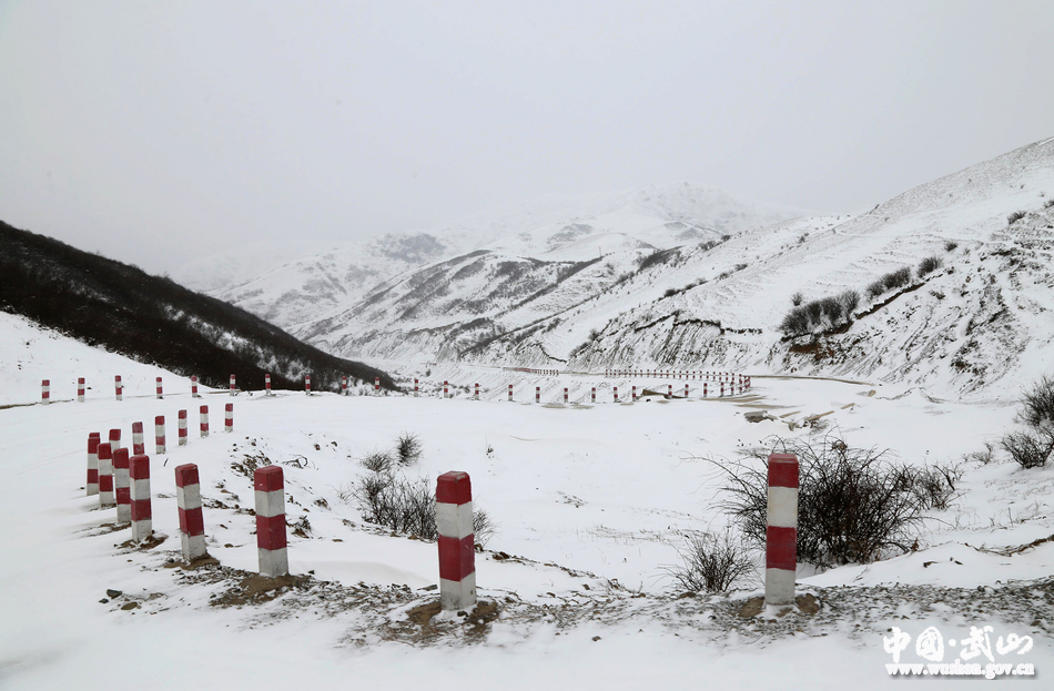 1516610811487550.jpg 6.jpg