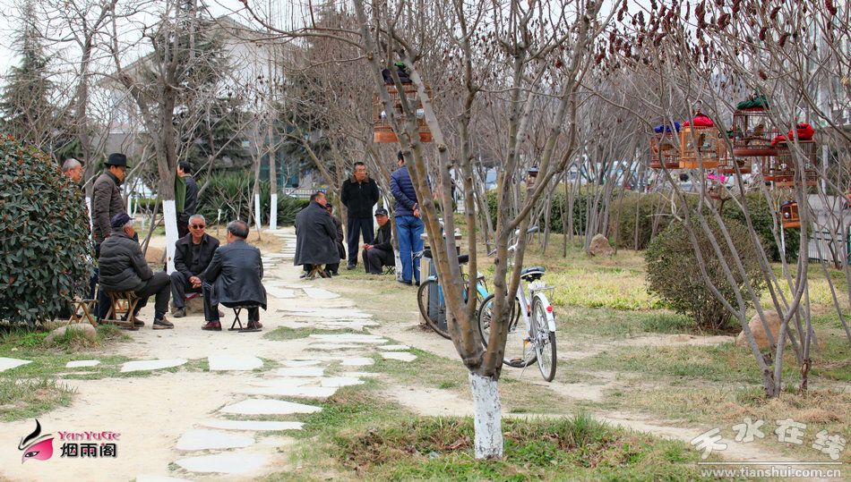 1513218338123965.jpg 5.jpg