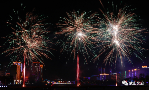 ——2023年武山县元宵焰火晚会成功举办119.png ——2023年武山县元宵焰火晚会成功举办119.png