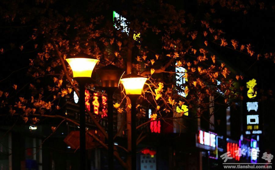 1520214471244850.jpg 9.jpg