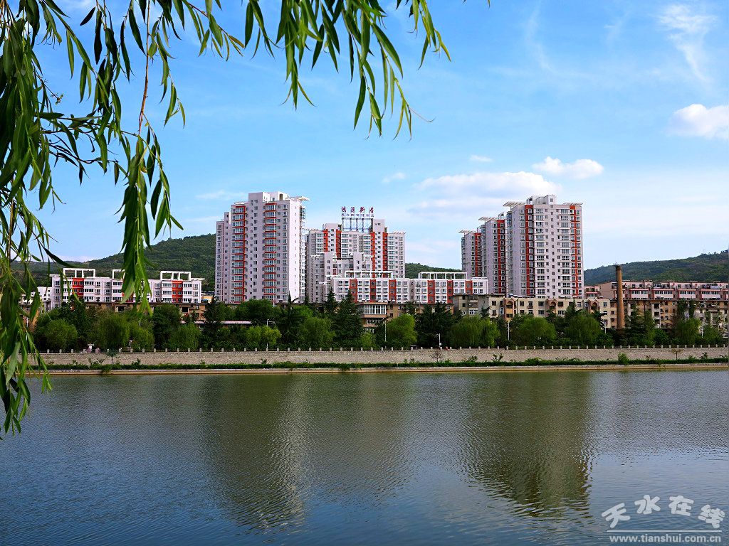 1513218325115712.jpg 3.jpg