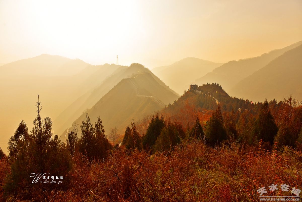 1516086577987235.jpg 9.jpg