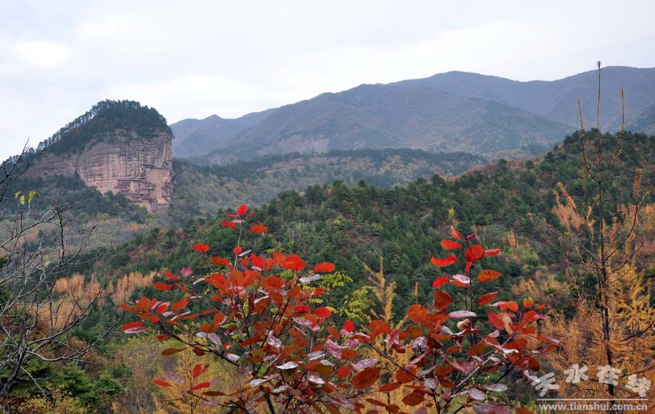 1513651066128316.jpg 3.jpg