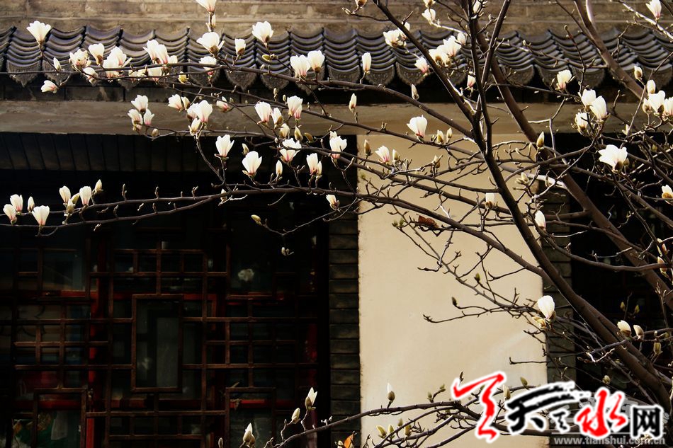 1520402267533163.jpg 1.jpg