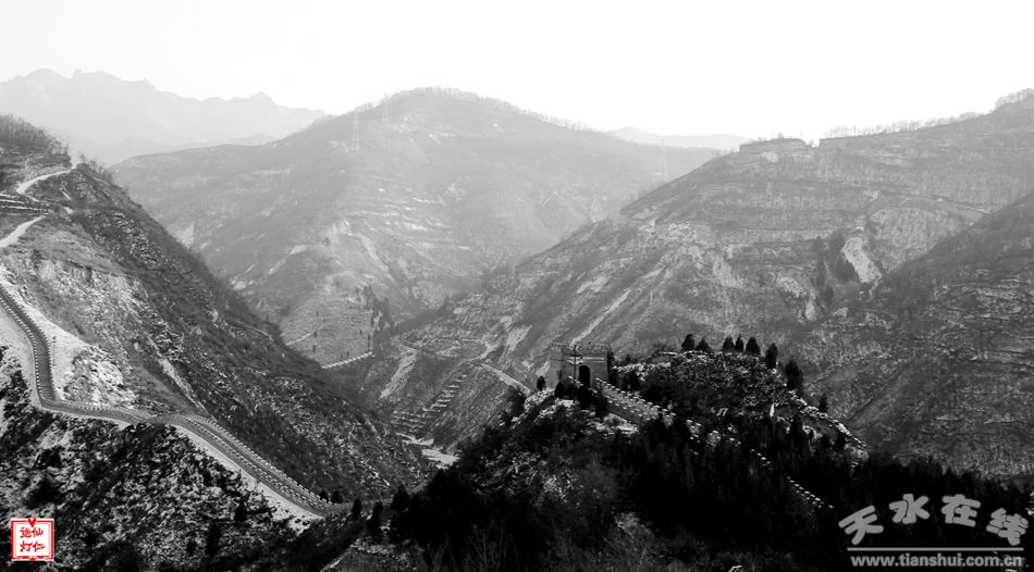 1516086552669488.jpg 7.jpg