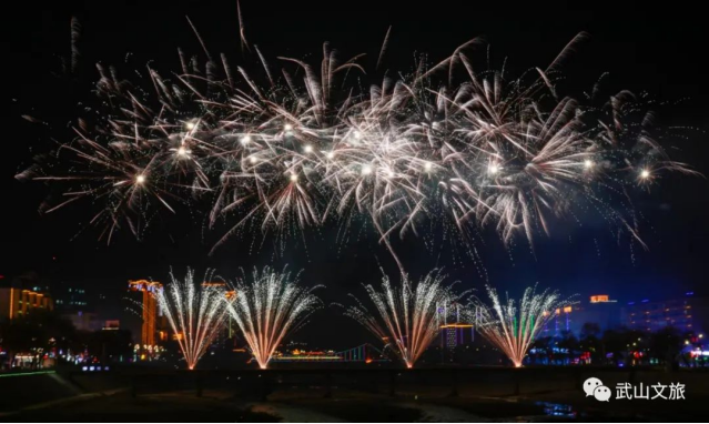 ——2023年武山县元宵焰火晚会成功举办119.png