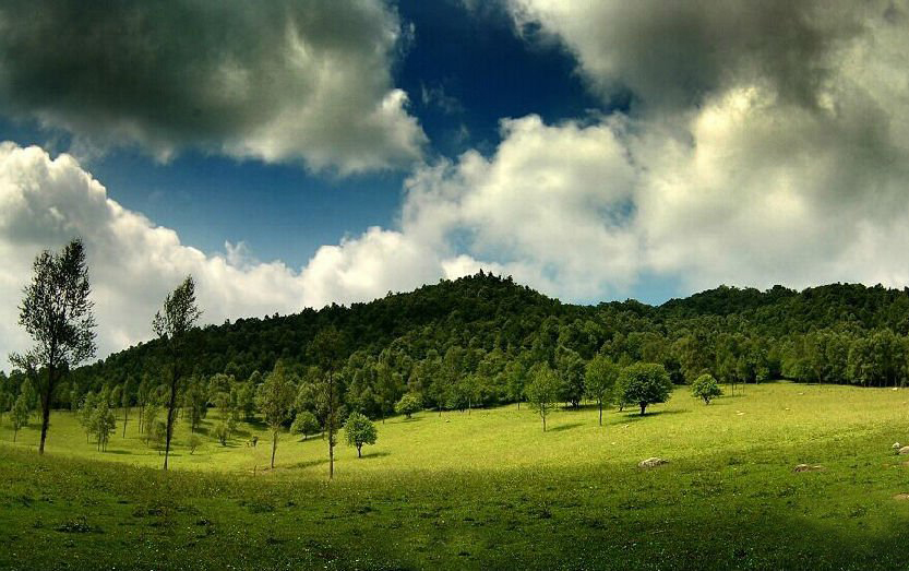 1501144422128531.jpg 1501144422128531.jpg