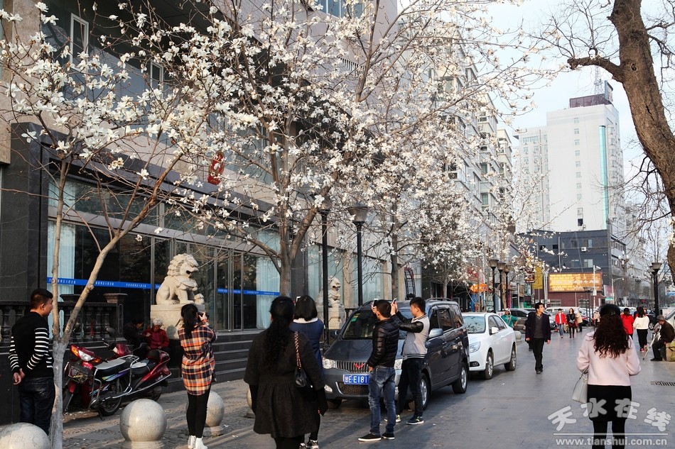 1520214456126397.jpg 8.jpg