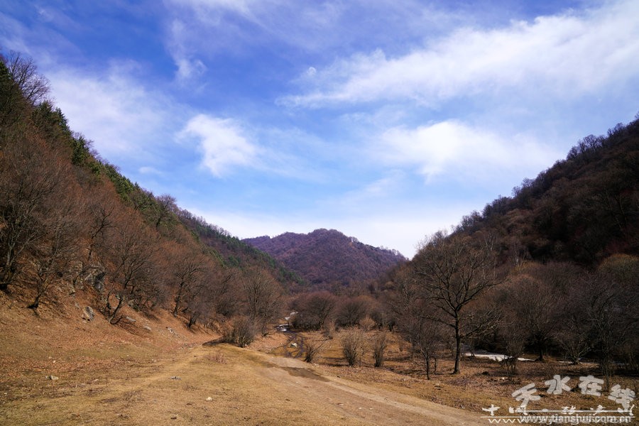 1520401184101722.jpg 7.jpg