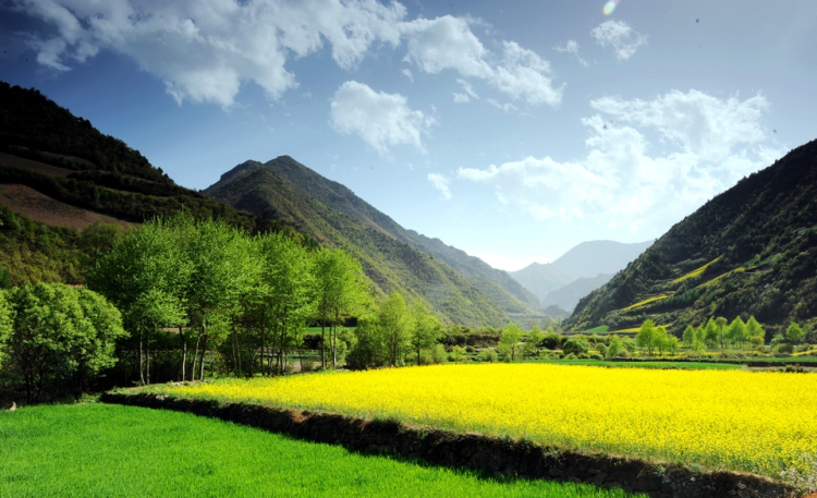 1499653171911413.jpg 1499653171911413.jpg