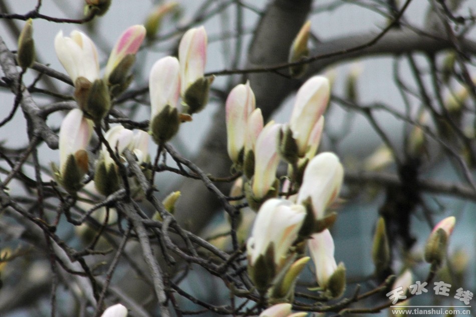 1520214317206982.jpg 5.jpg