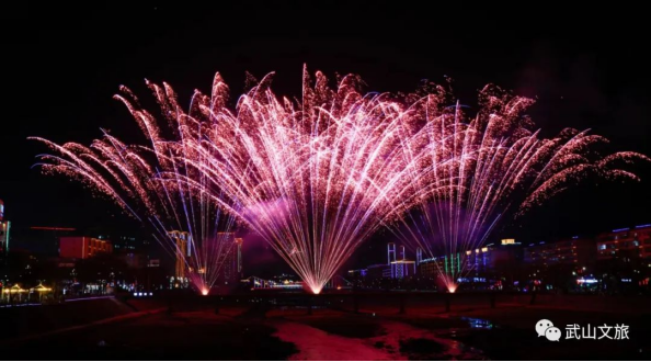 ——2023年武山县元宵焰火晚会成功举办544.png