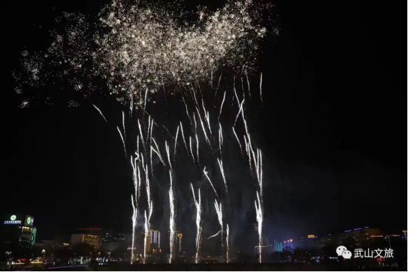 ——2023年武山县元宵焰火晚会成功举办734.png