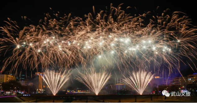 ——2023年武山县元宵焰火晚会成功举办284.png