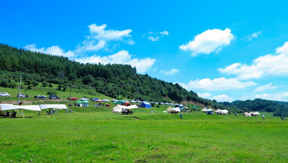 12非子牧场1.jpg 12非子牧场1.jpg