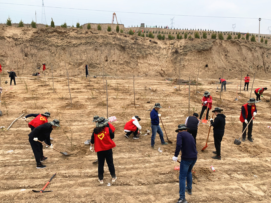 1585039006127851.jpg 3.jpg