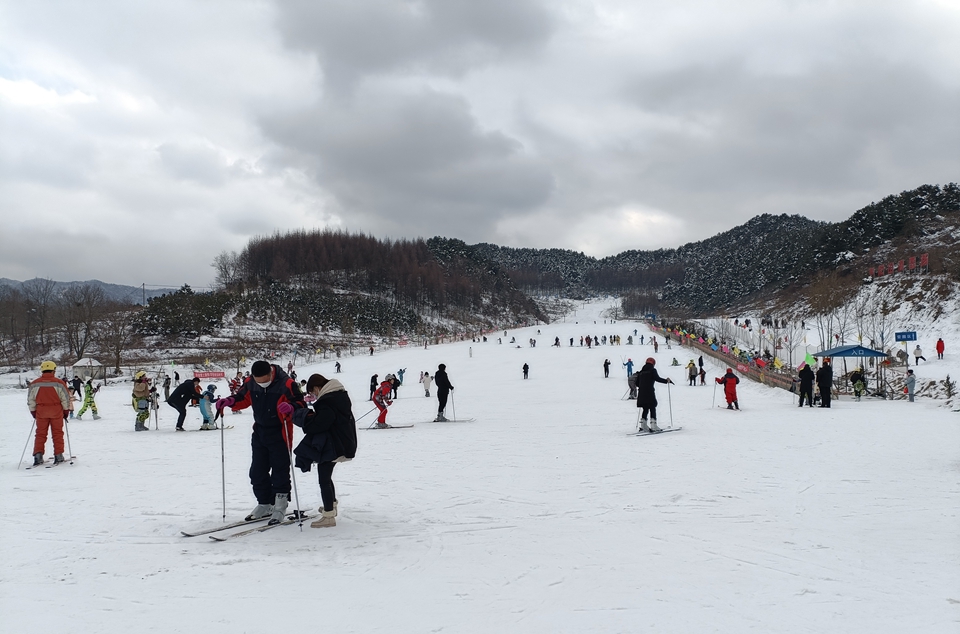 图片8.jpg 图片8.jpg