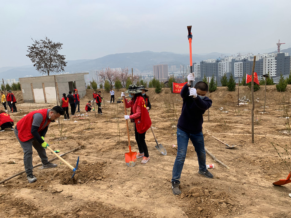 1585039017922257.jpg 4.jpg