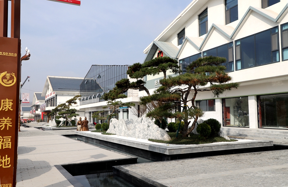 19康养一条街.jpg 19康养一条街.jpg