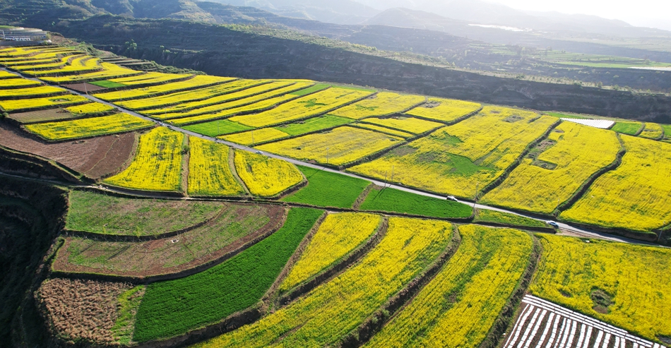 4香怡南塬1.jpg 4香怡南塬1.jpg