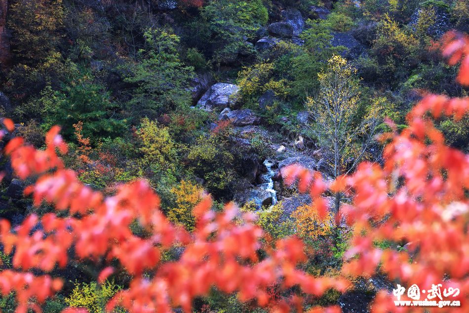 1509677081132916.jpg 13.jpg