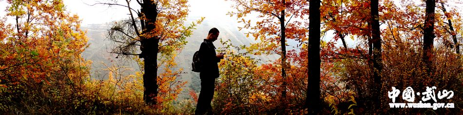 1509676952544696.jpg 11.jpg