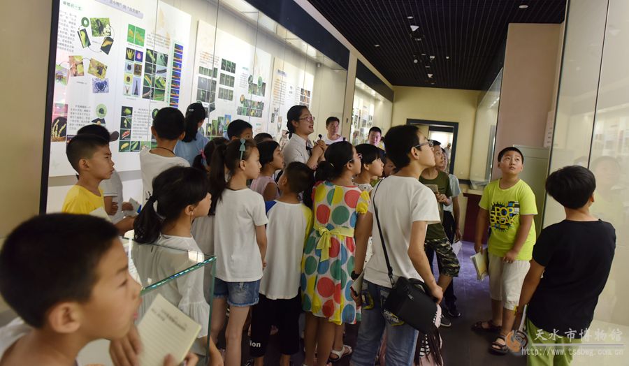 1501469787208919.jpg 2.jpg