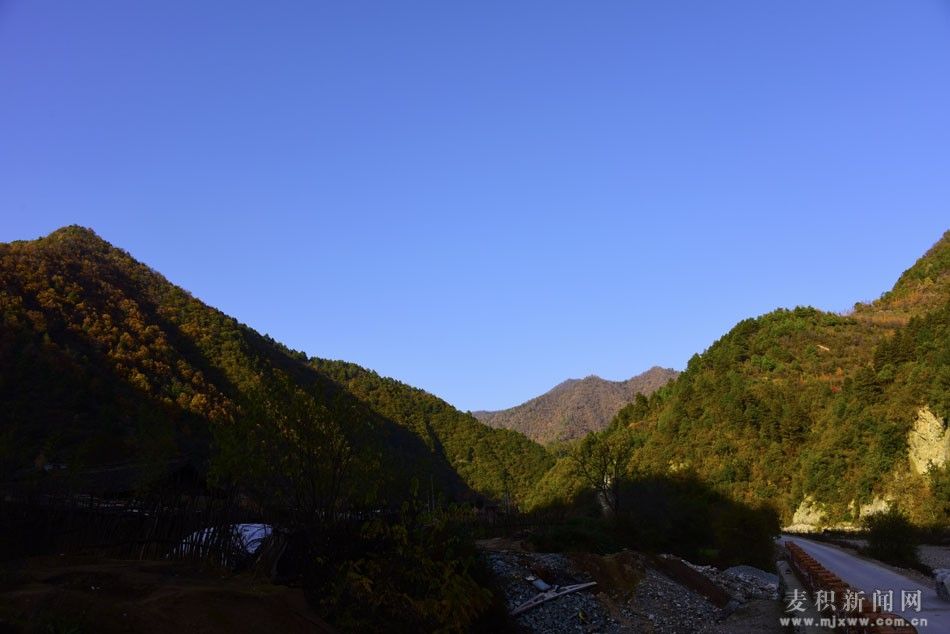 1510675842135003.jpg 6.jpg