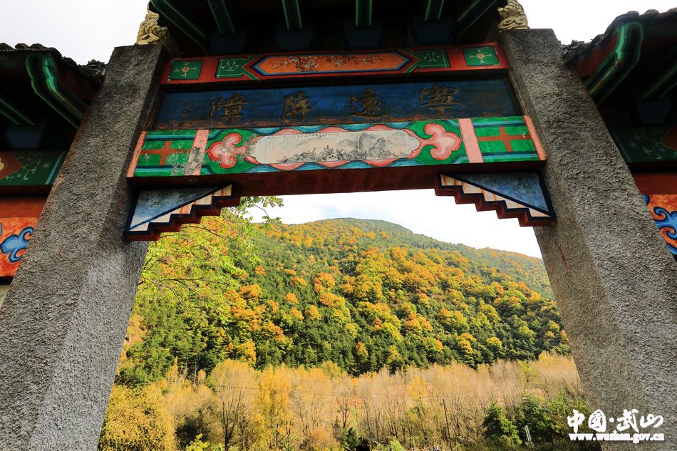 1509676732103620.jpg 1.jpg