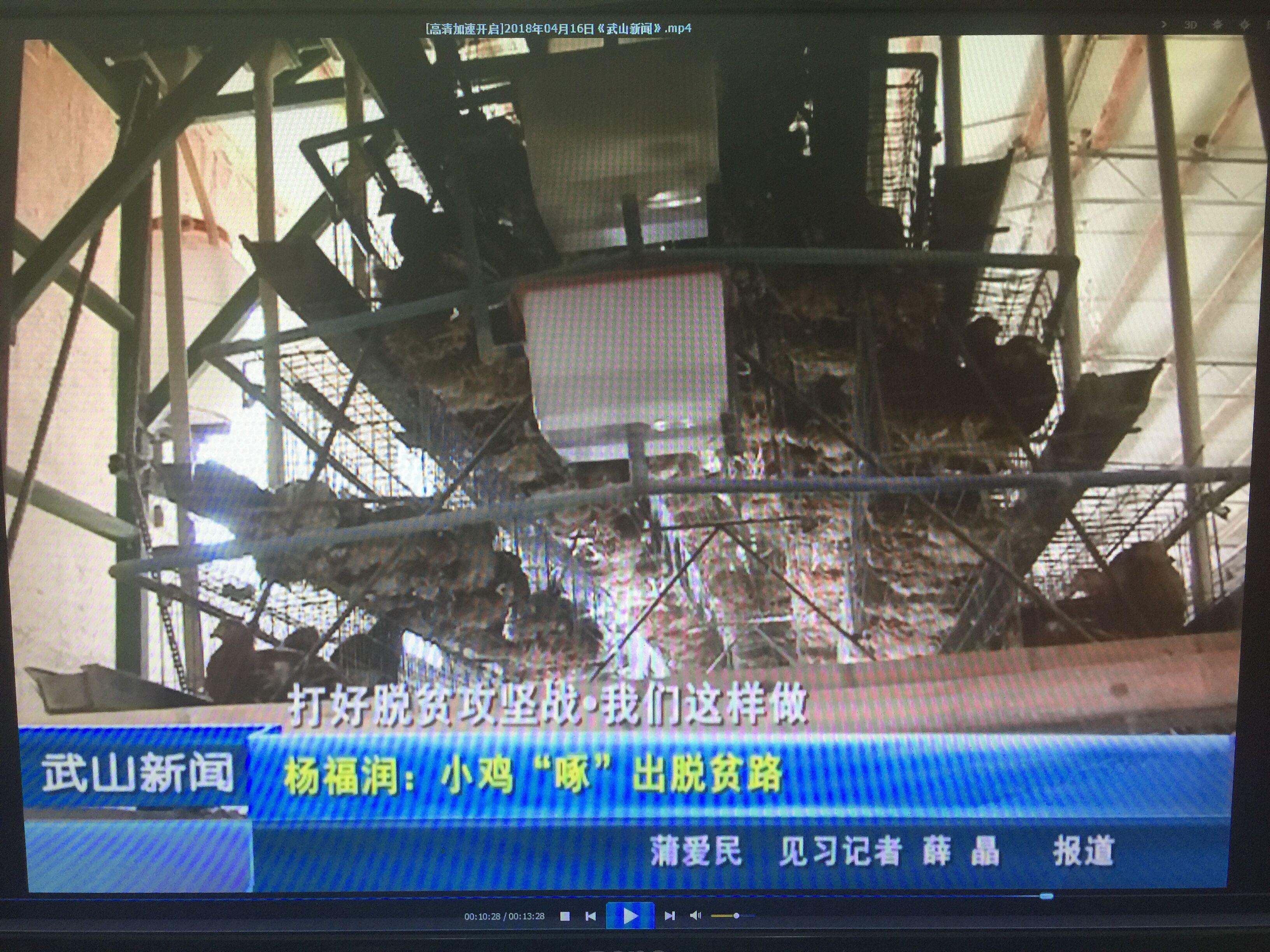 1524103910440645.jpg 图片2.jpg