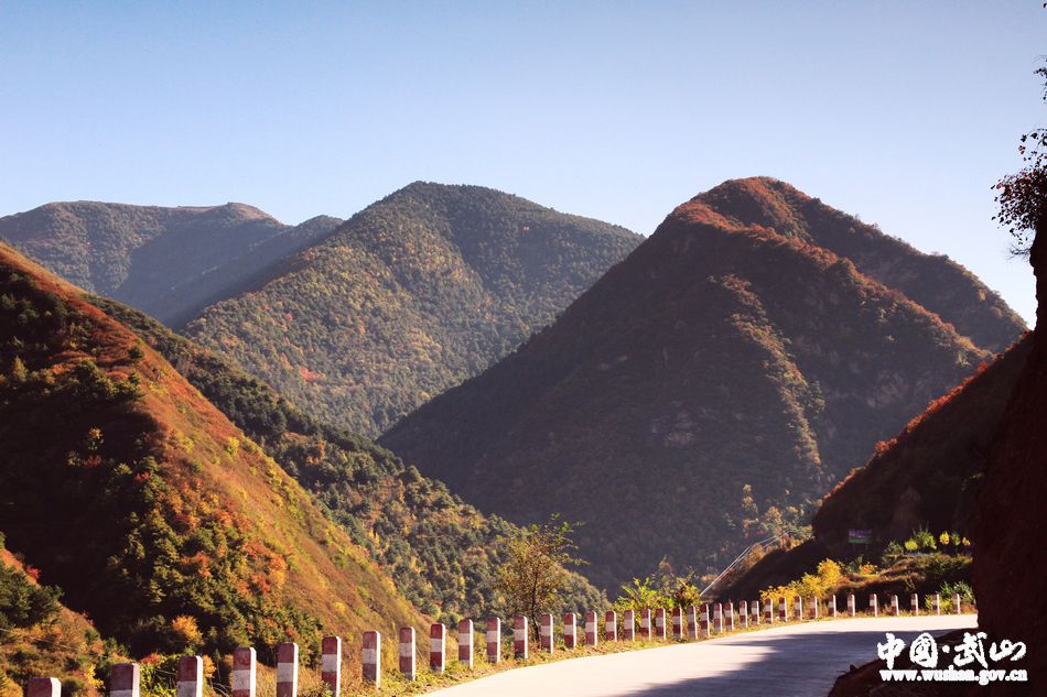 1509677096695092.jpg 14.jpg