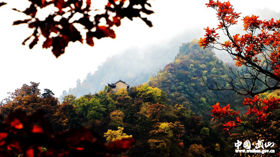 1509677039663980.jpg 12.jpg