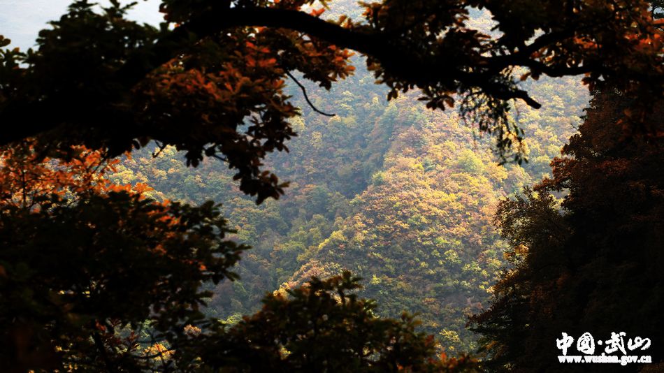 1509676924926216.jpg 10.jpg