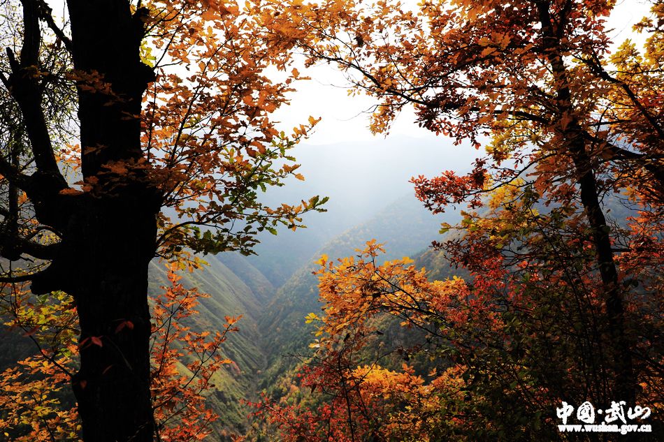 1509676905713337.jpg 8.jpg