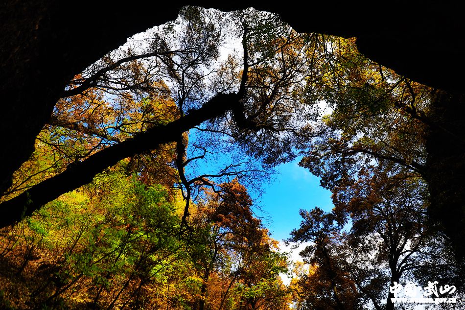 1509676774236674.jpg 4.jpg