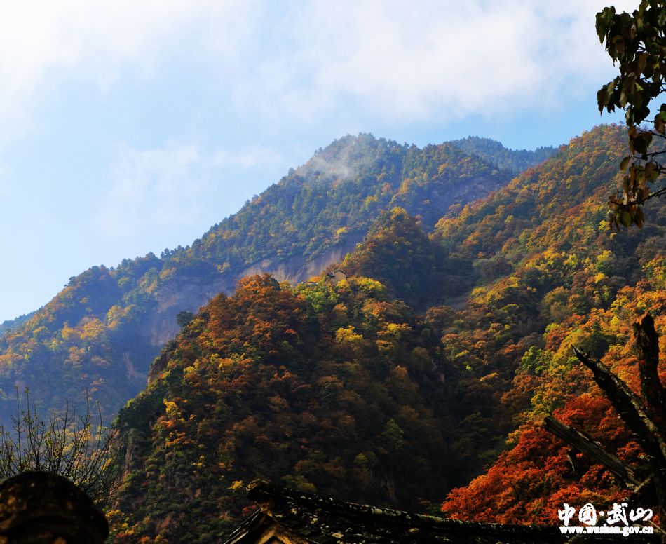 1509676806105909.jpg 6.jpg