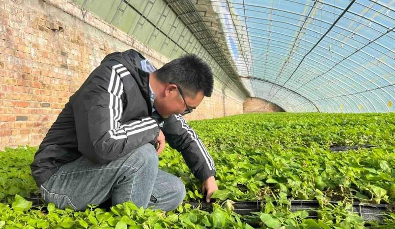 1705808298358977.png?x-oss-process=style/w10 图片.png?x-oss-process=style/w10