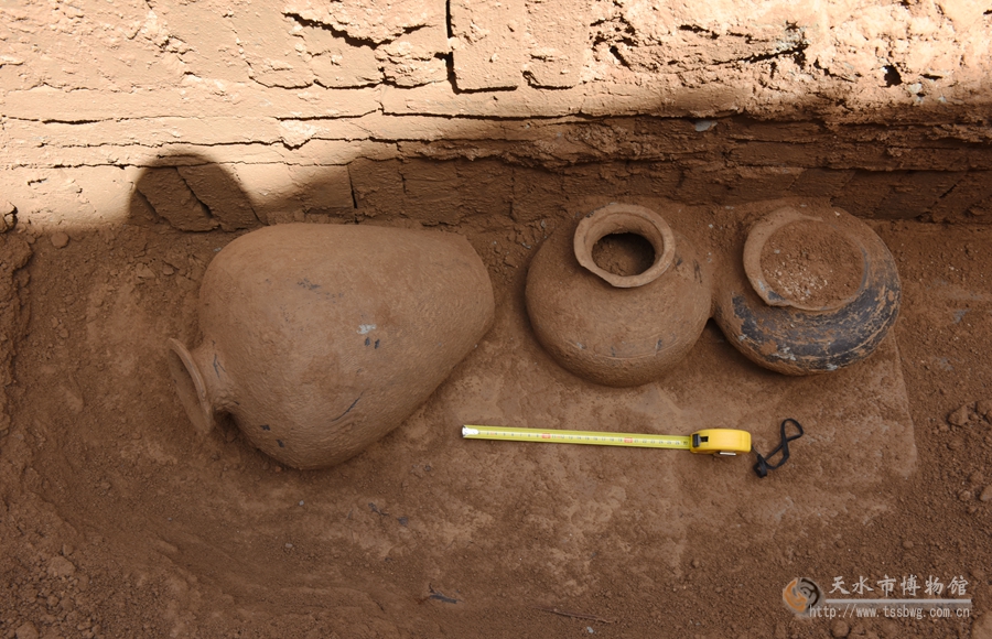 1501470779139595.jpg 2.jpg