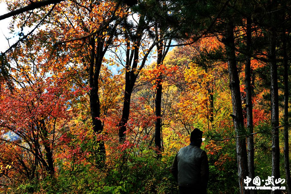 1509676787129508.jpg 5.jpg