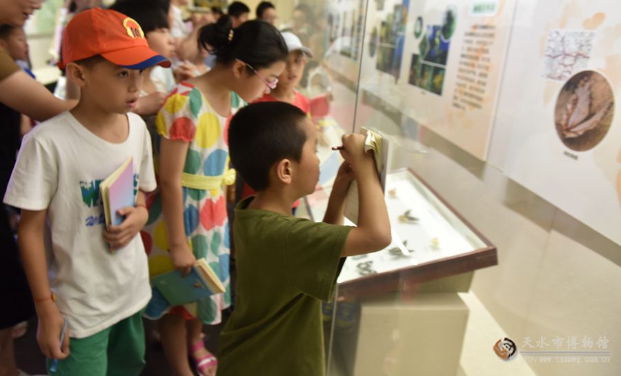 1501469794553259.jpg 3.jpg